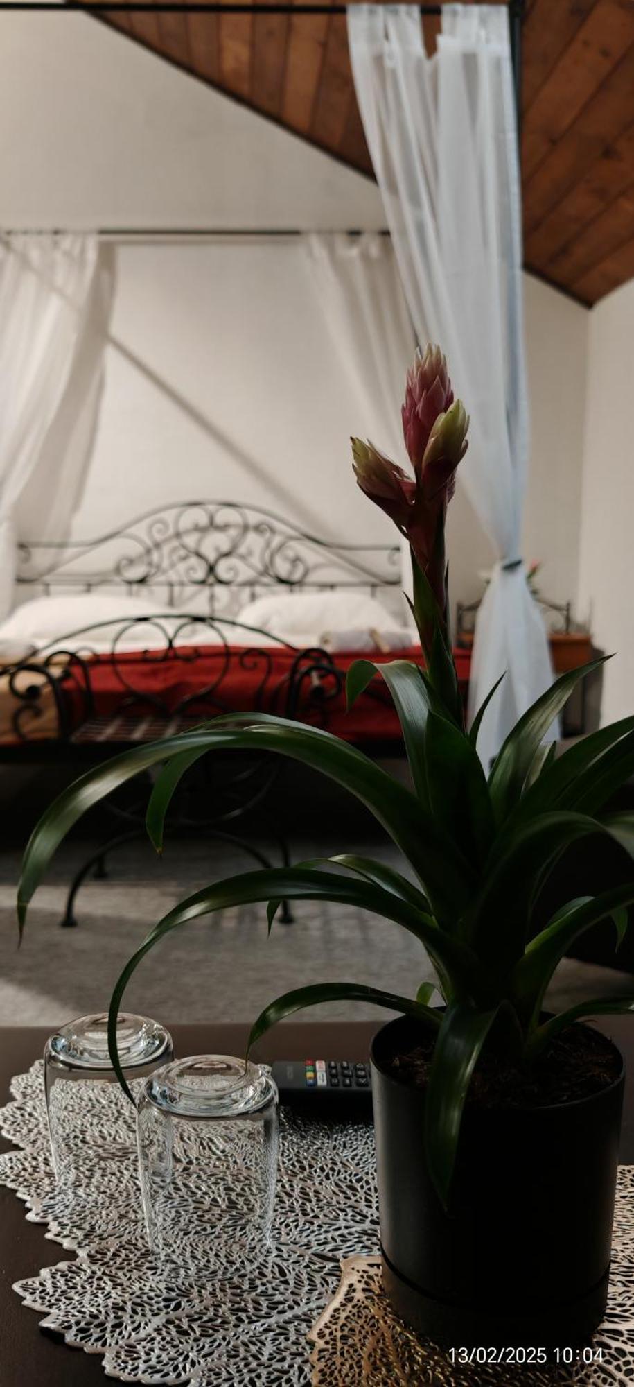 Hotel Plzensky Dvur Frýdek-Místek Zewnętrze zdjęcie