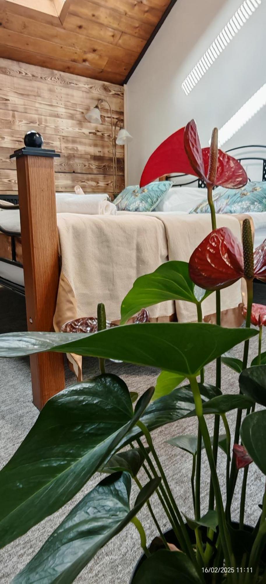 Hotel Plzensky Dvur Frýdek-Místek Zewnętrze zdjęcie